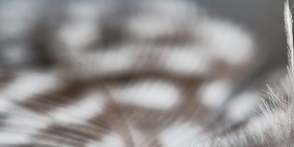 За нас Герои автори