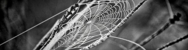 Обратно броене. Мрежа. Мисли. Бърн аут.